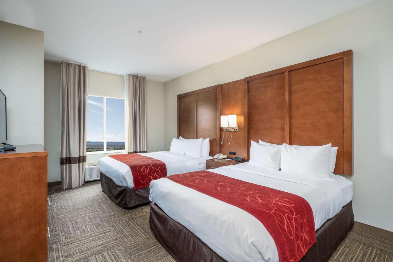 Comfort Suites University Abilene Extérieur photo